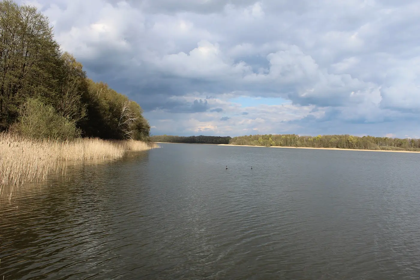 Großer Kressinsee, Landkreis Mecklenburgische Seenplatte