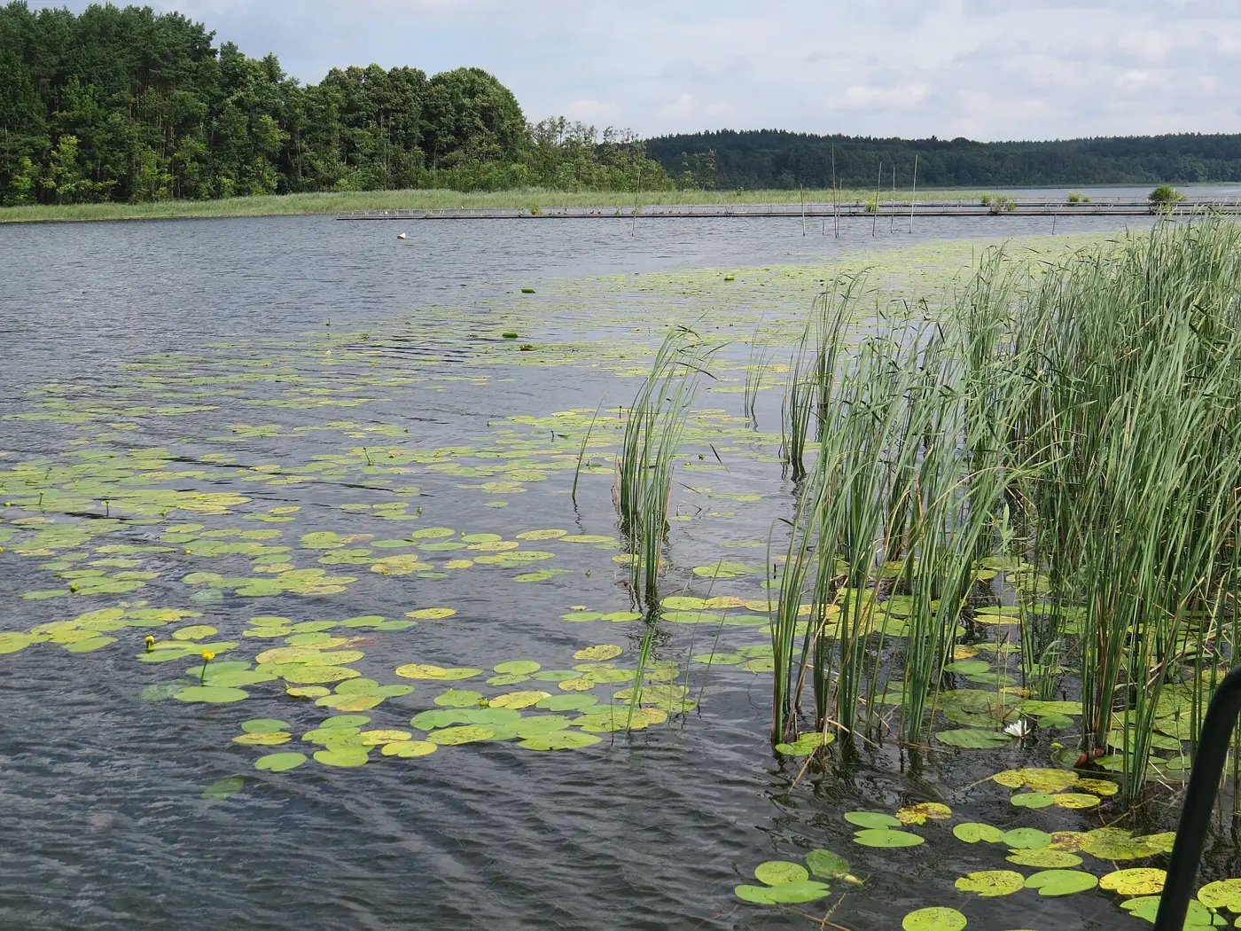 Großer Küstrinsee, Landkreis Uckermark