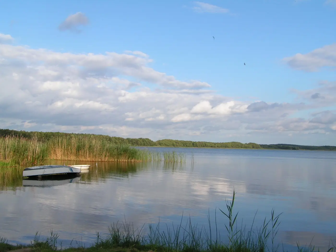 Großer Labussee, Landkreis Mecklenburgische Seenplatte