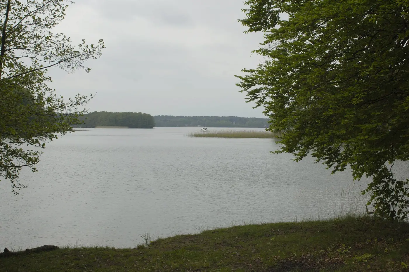 Großer Lychensee, Landkreis Uckermark