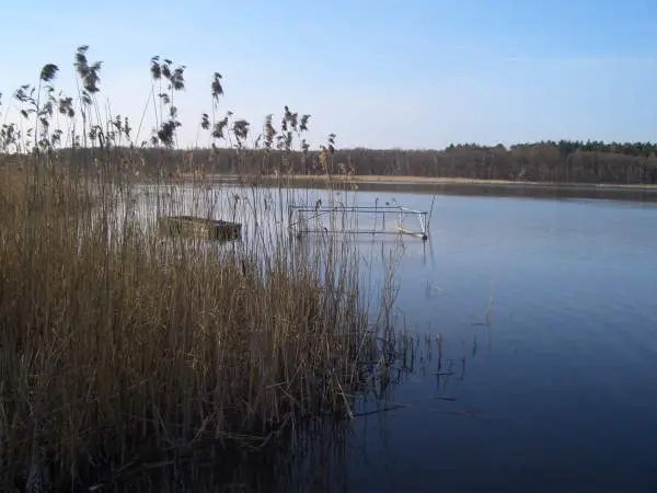 Großer Peetscher See, Landkreis Rostock