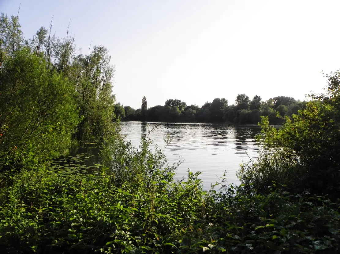 Großer Ricklinger Teich, Region Hannover