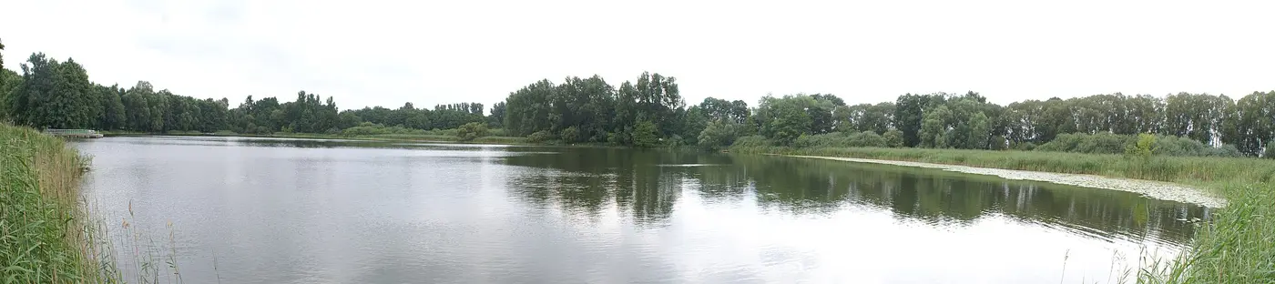 Großer See, Landkreis Mecklenburgische Seenplatte