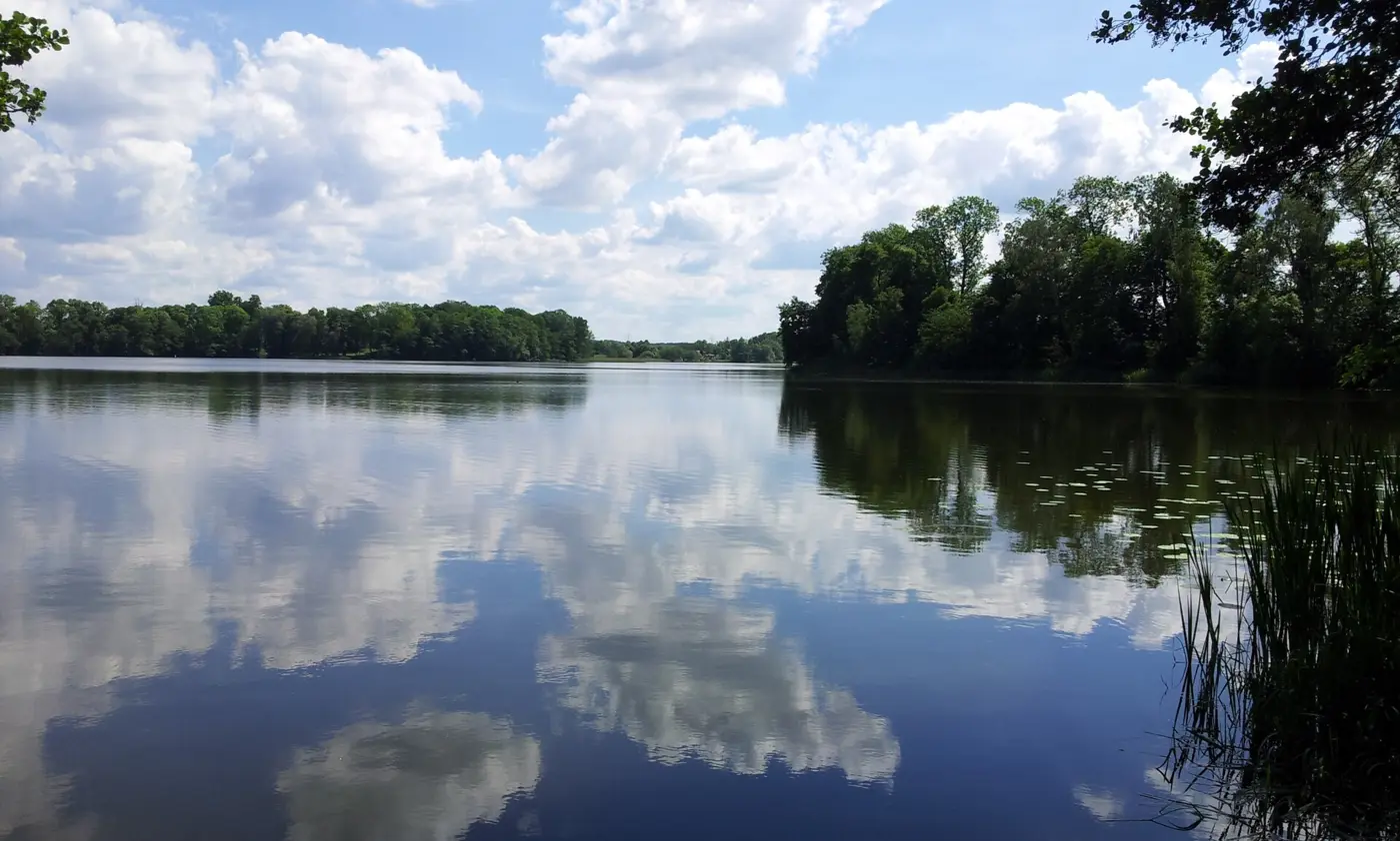 Großer Stadtsee, Landkreis Mecklenburgische Seenplatte