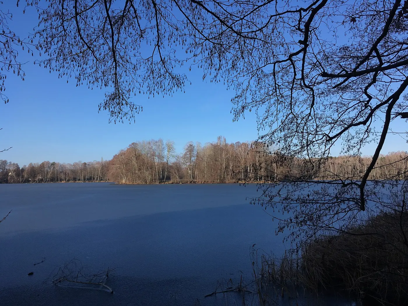 Großer Tonteich, Landkreis Dahme-Spreewald