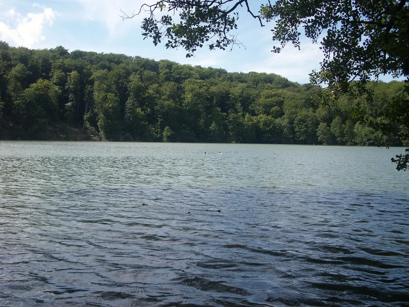 Großer Treppelsee, Landkreis Oder-Spree
