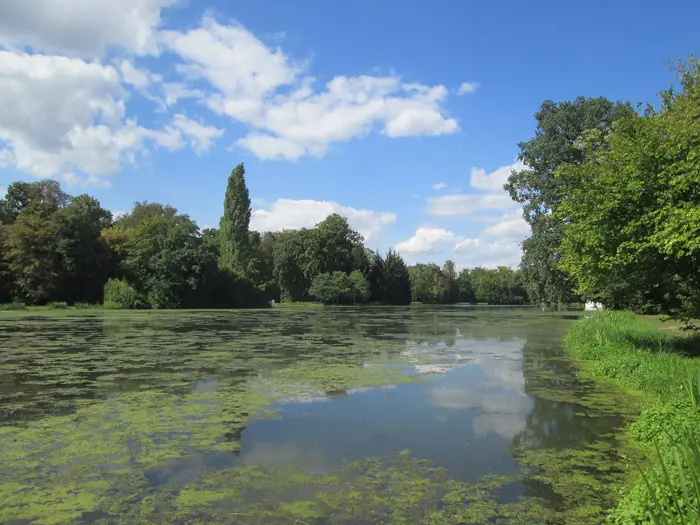 Großer Weiher, Landkreis Tirschenreuth