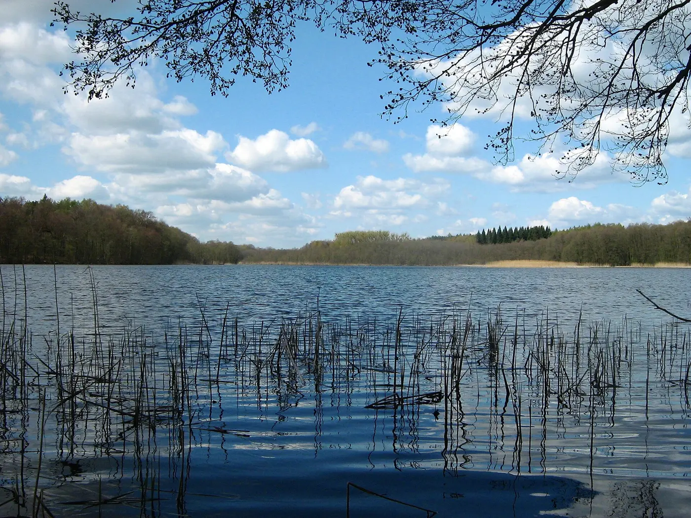 Großer Wentowsee, Landkreis Oberhavel