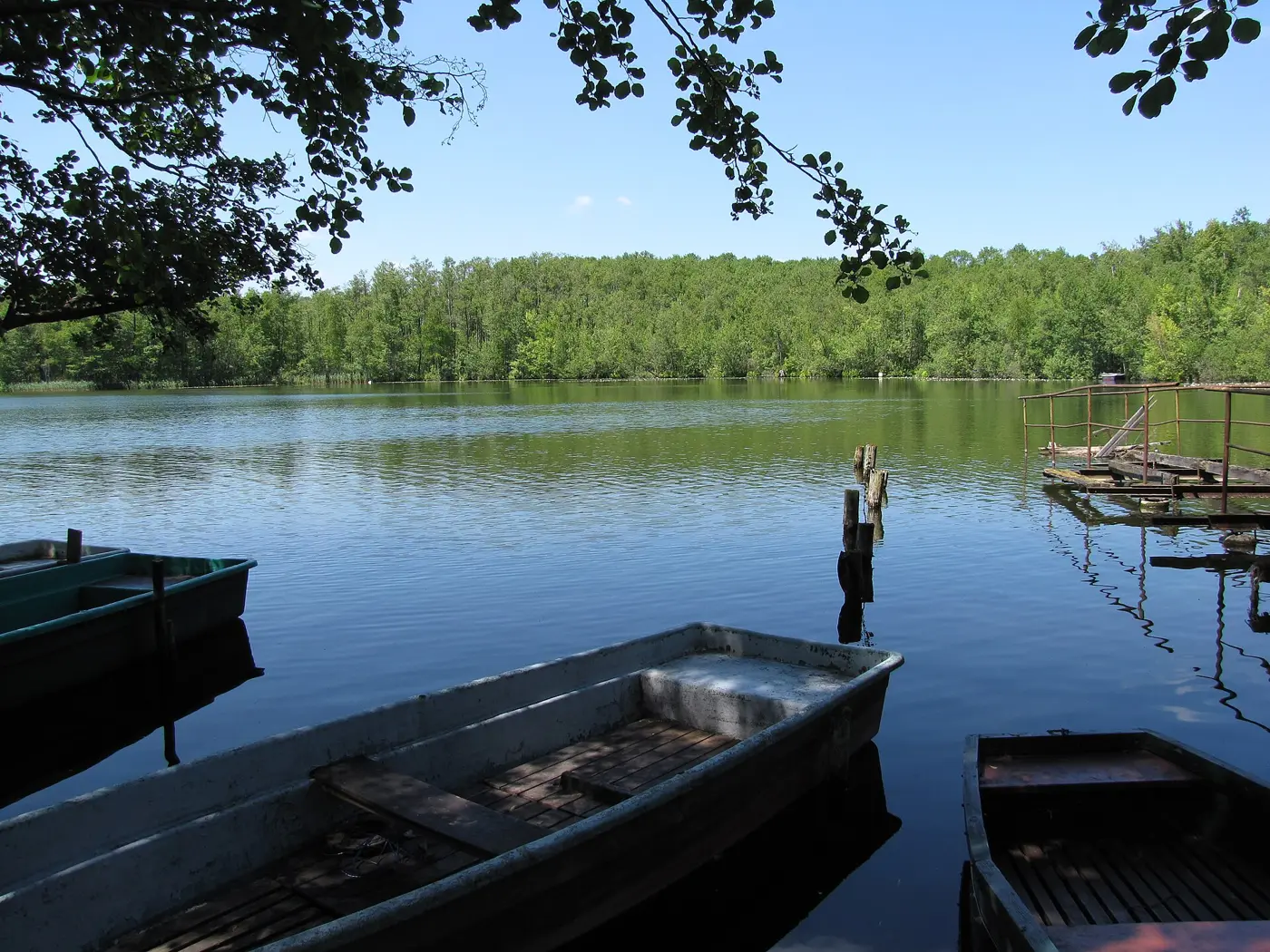 Großer Zeschsee, Landkreis Teltow-Fläming