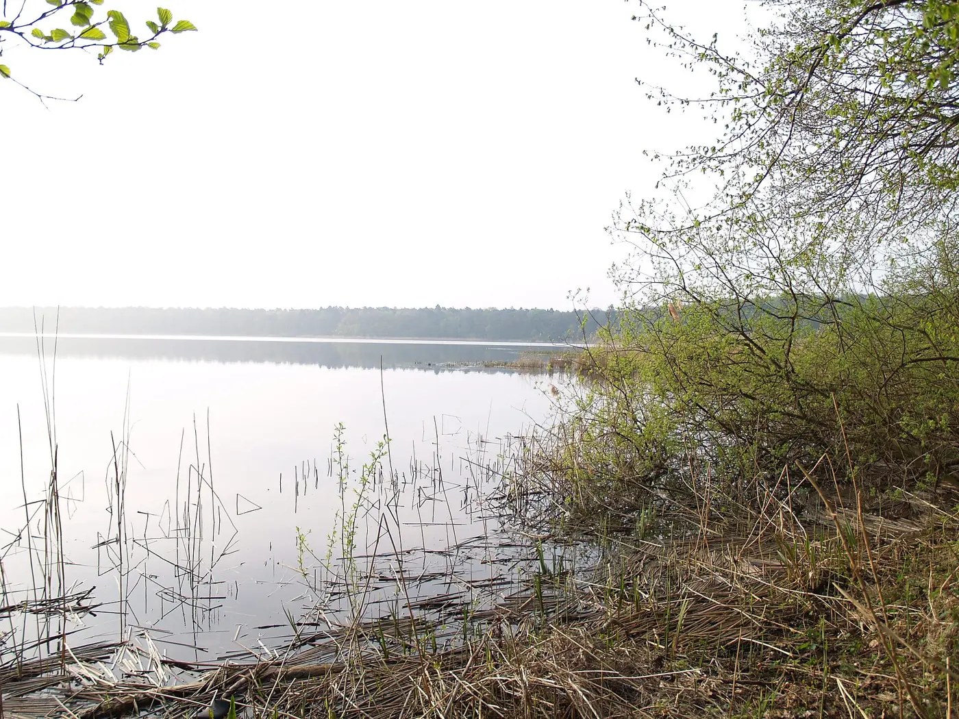 Gudower See, Kreis Herzogtum Lauenburg