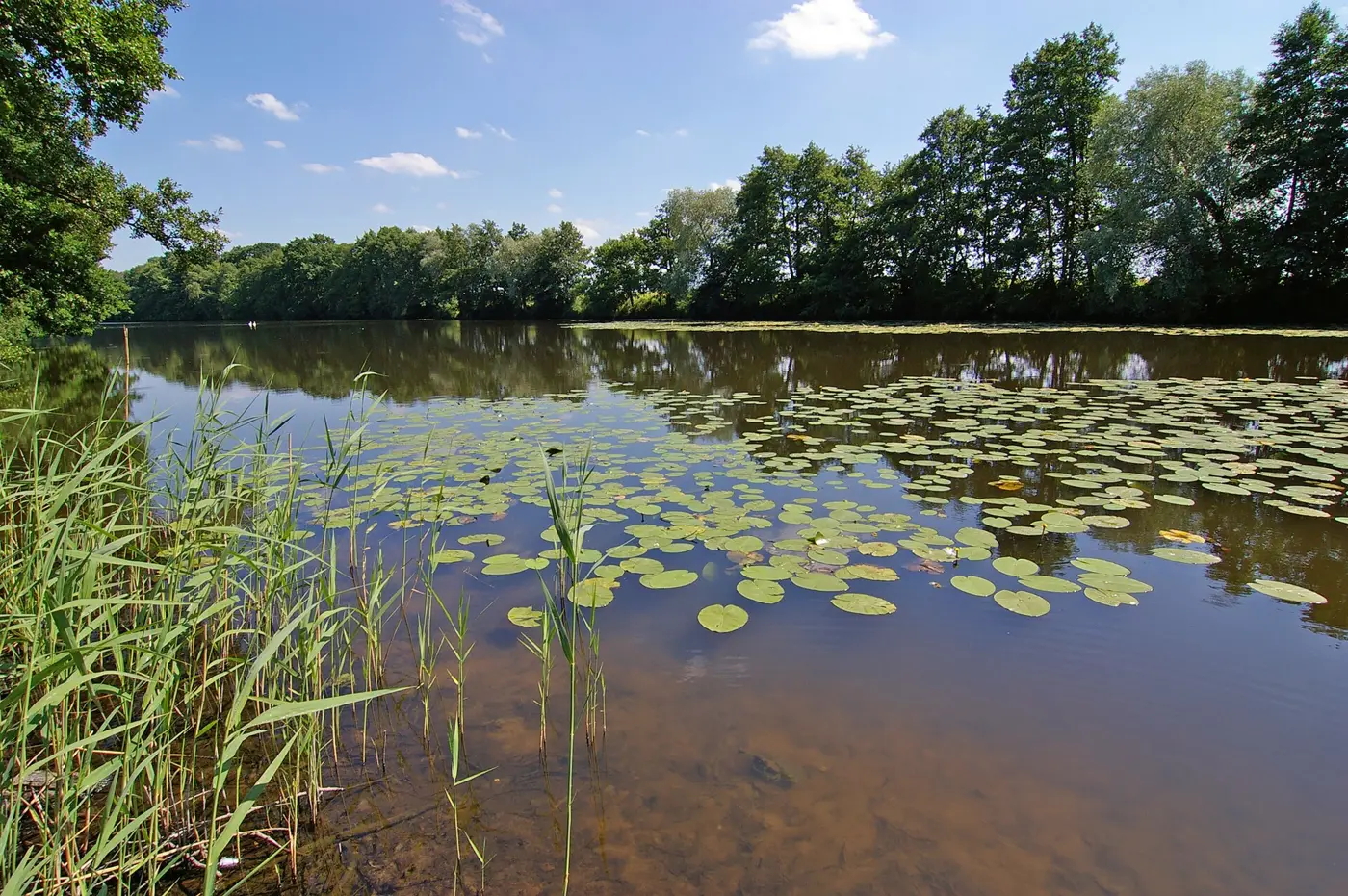 Gümser See, Landkreis Lüchow-Dannenberg