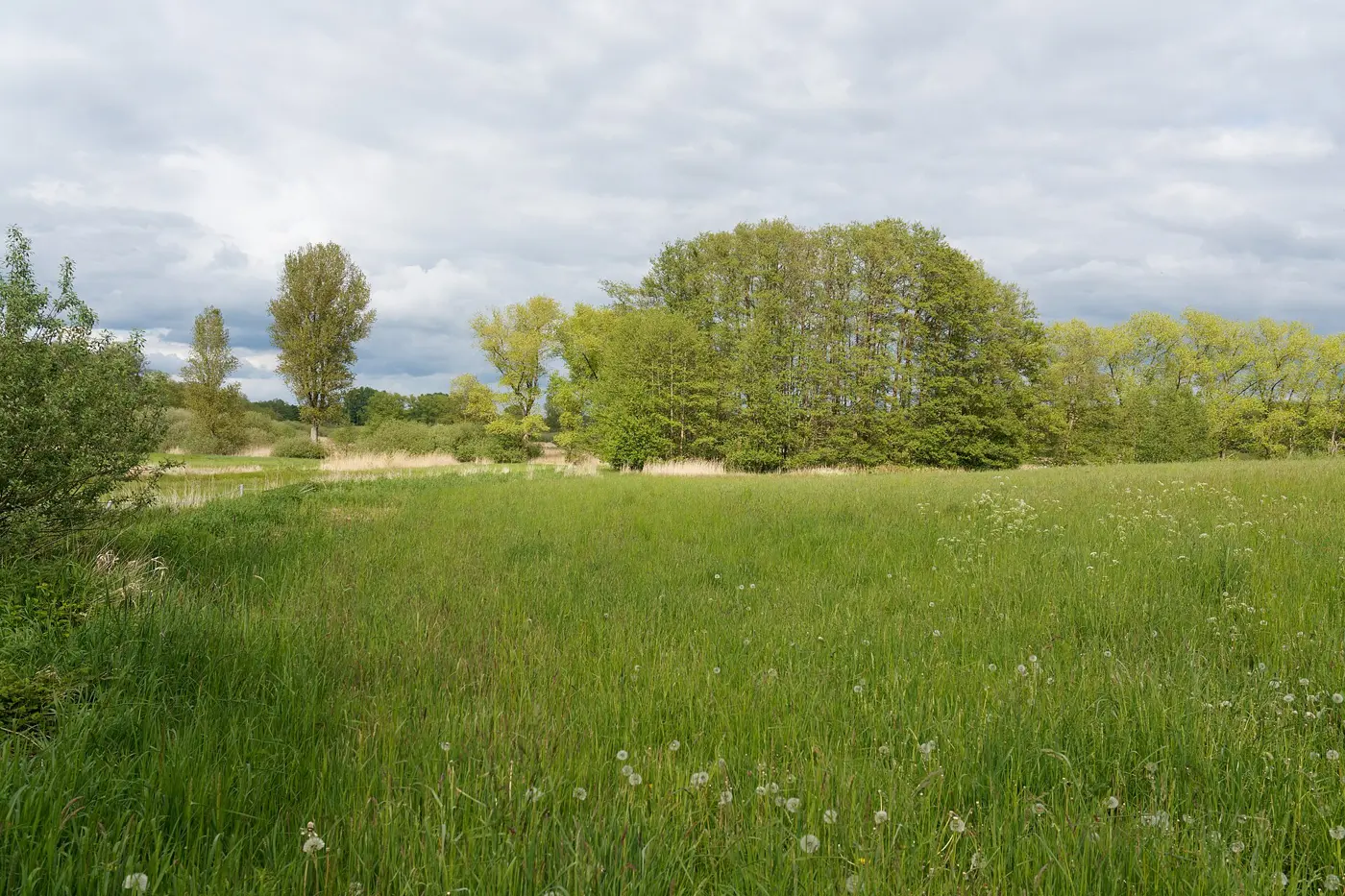 Herrenteich, Kreis Stormarn
