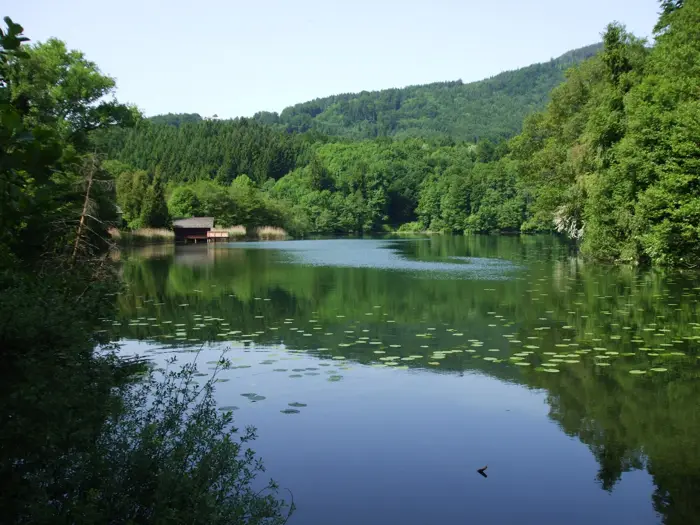 Höglwörther See, Landkreis Berchtesgadener Land
