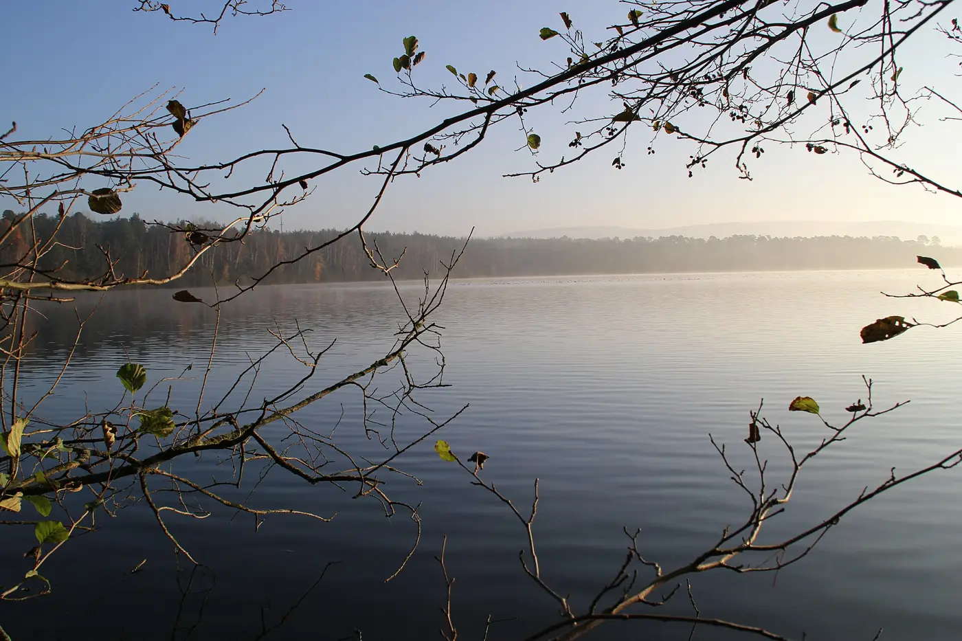 Hörsteiner See, Landkreis Aschaffenburg