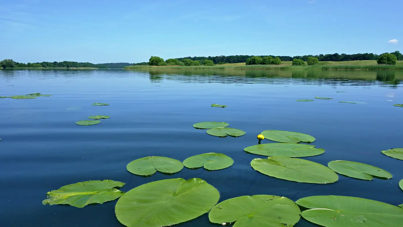 Hohensprenzer See, Landkreis Rostock