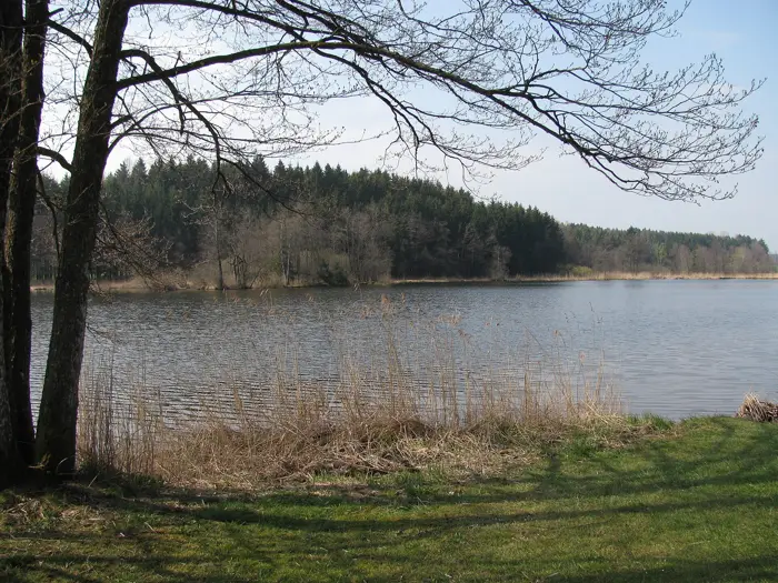 Holzmühleweiher, Landkreis Ravensburg