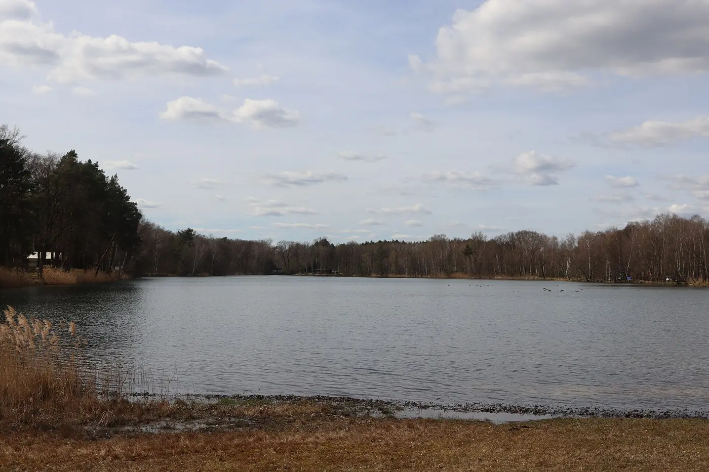 Horstteich, Landkreis Dahme-Spreewald