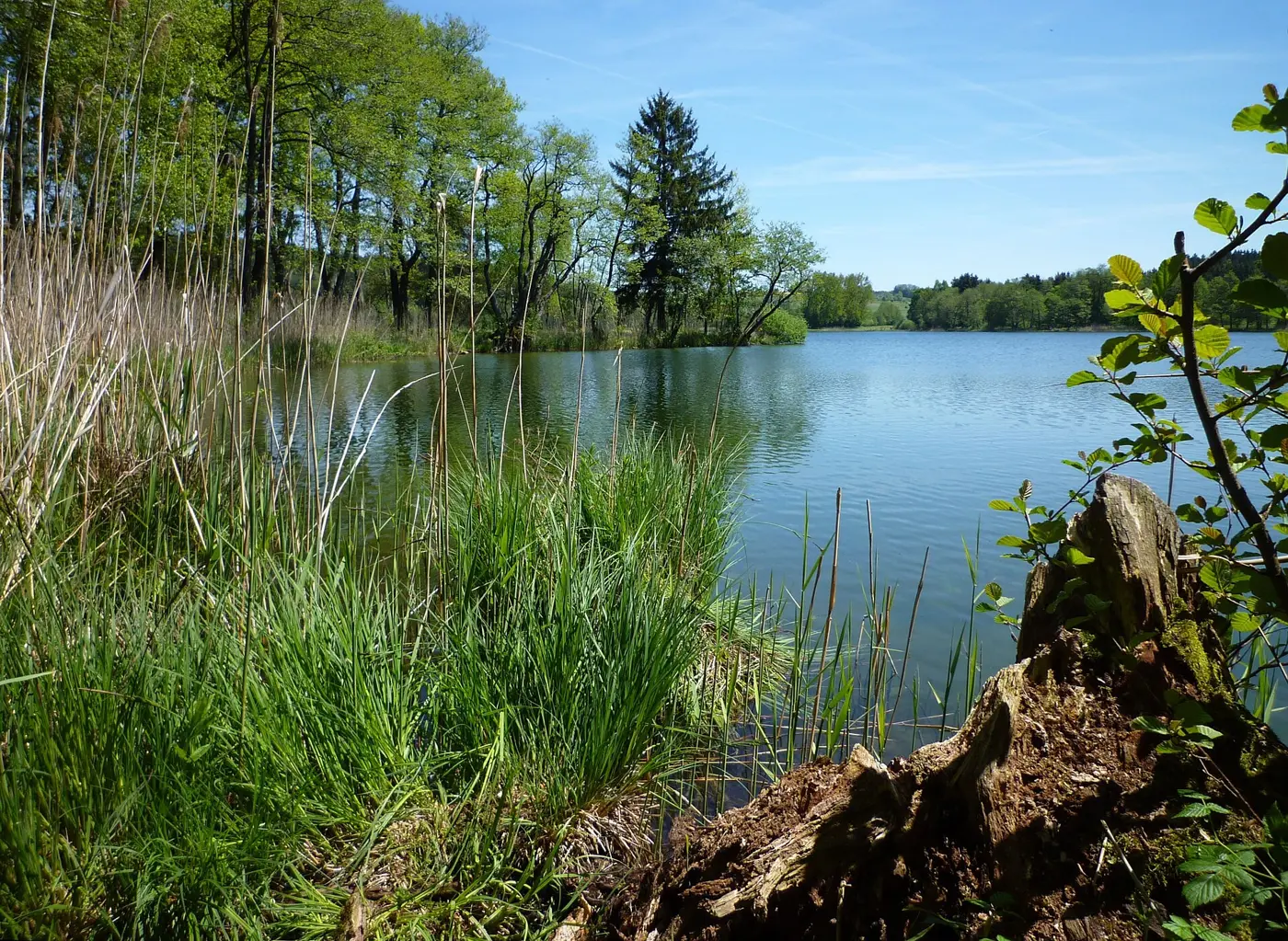 Illmensee, Landkreis Sigmaringen