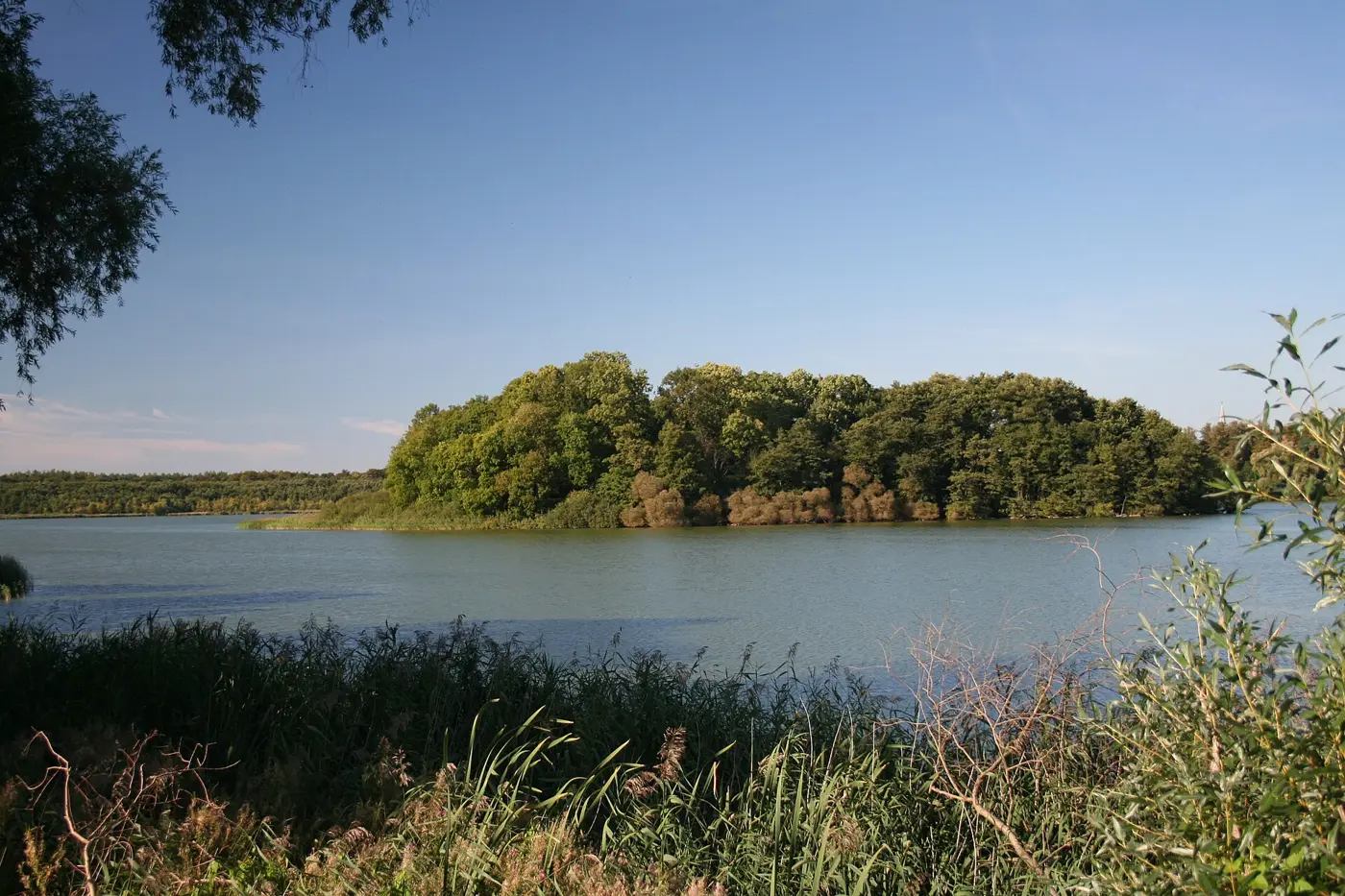Ivenacker See, Landkreis Mecklenburgische Seenplatte