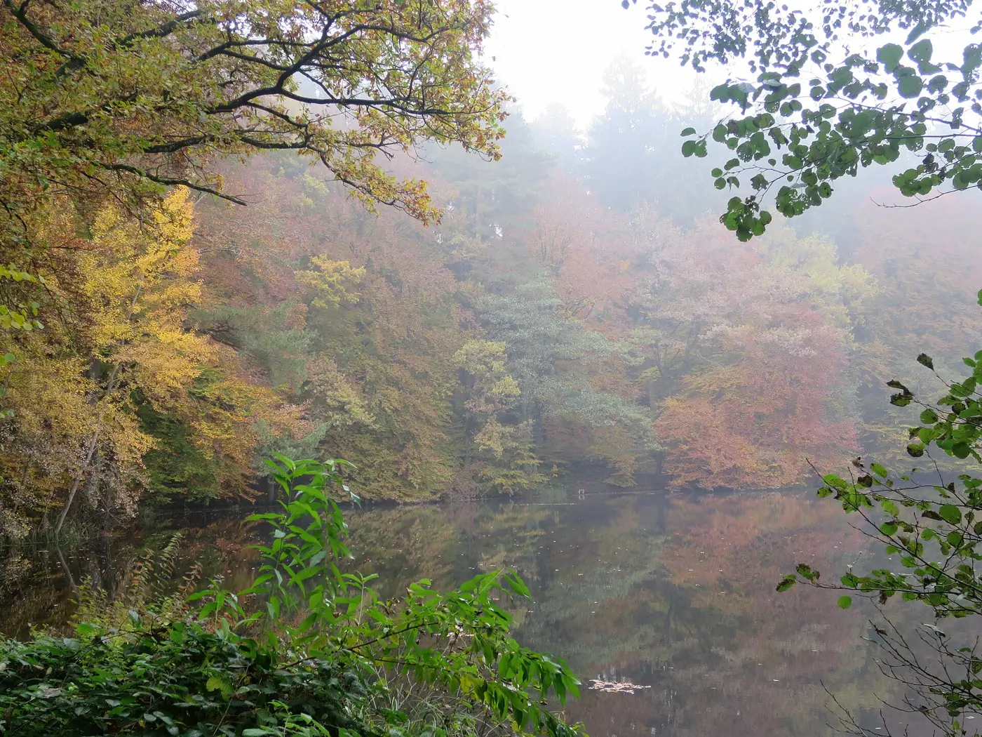 Jägerweiher, Rhein-Pfalz-Kreis