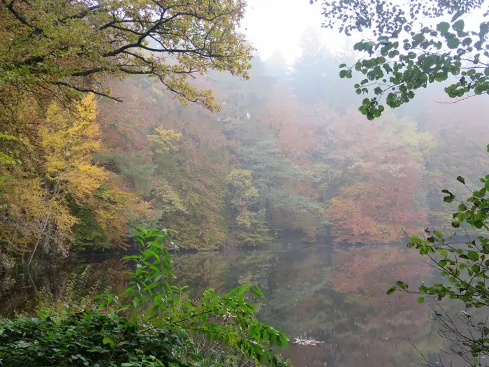 Jägerweiher, Rhein-Pfalz-Kreis