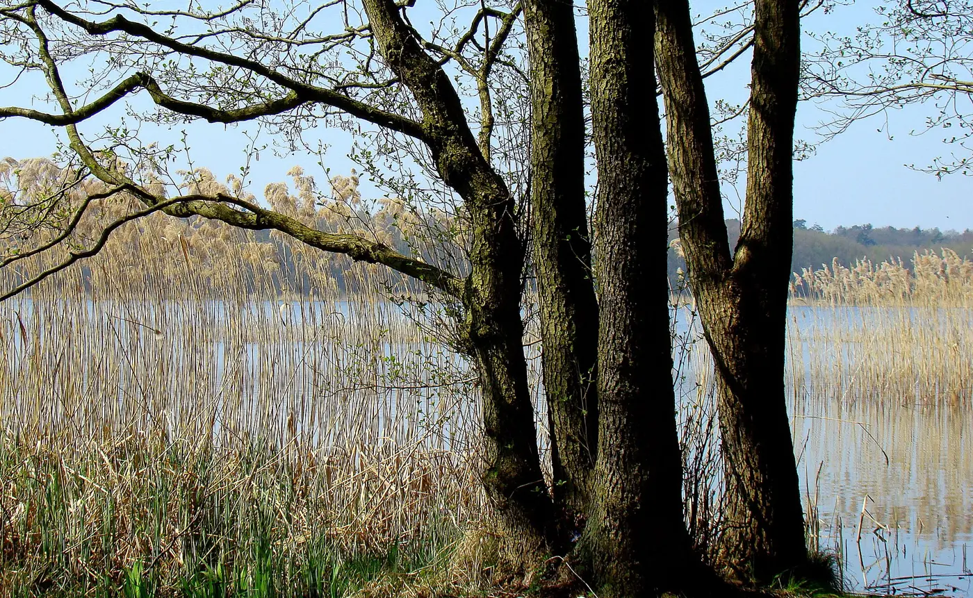 Jezioro Myśliborskie Wielkie / Großer Mützelburger See, Landkreis Vorpommern-Greifswald