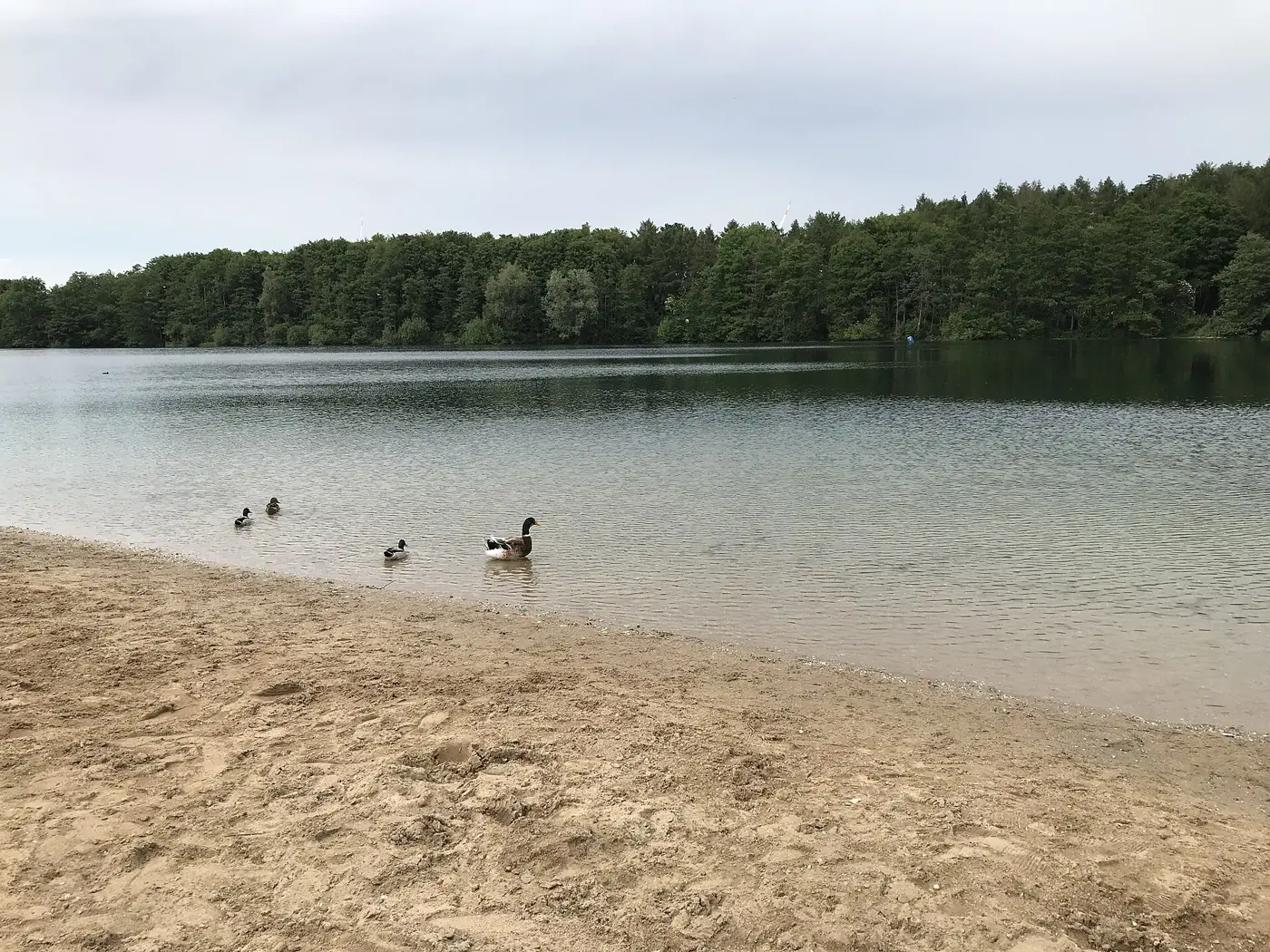 Kaarster See, Kreis Rhein-Kreis Neuss