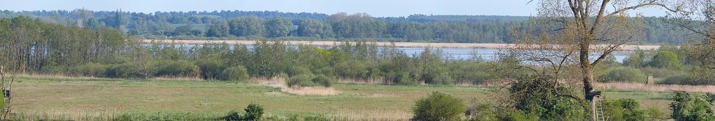 Kachliner See, Landkreis Vorpommern-Greifswald
