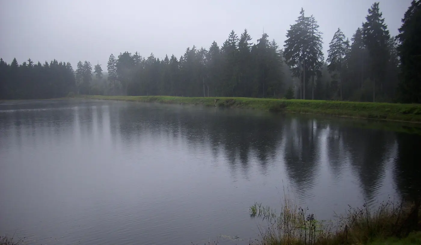 Kiefhölzer Teich, Landkreis Goslar