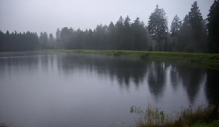 Kiefhölzer Teich, Landkreis Goslar