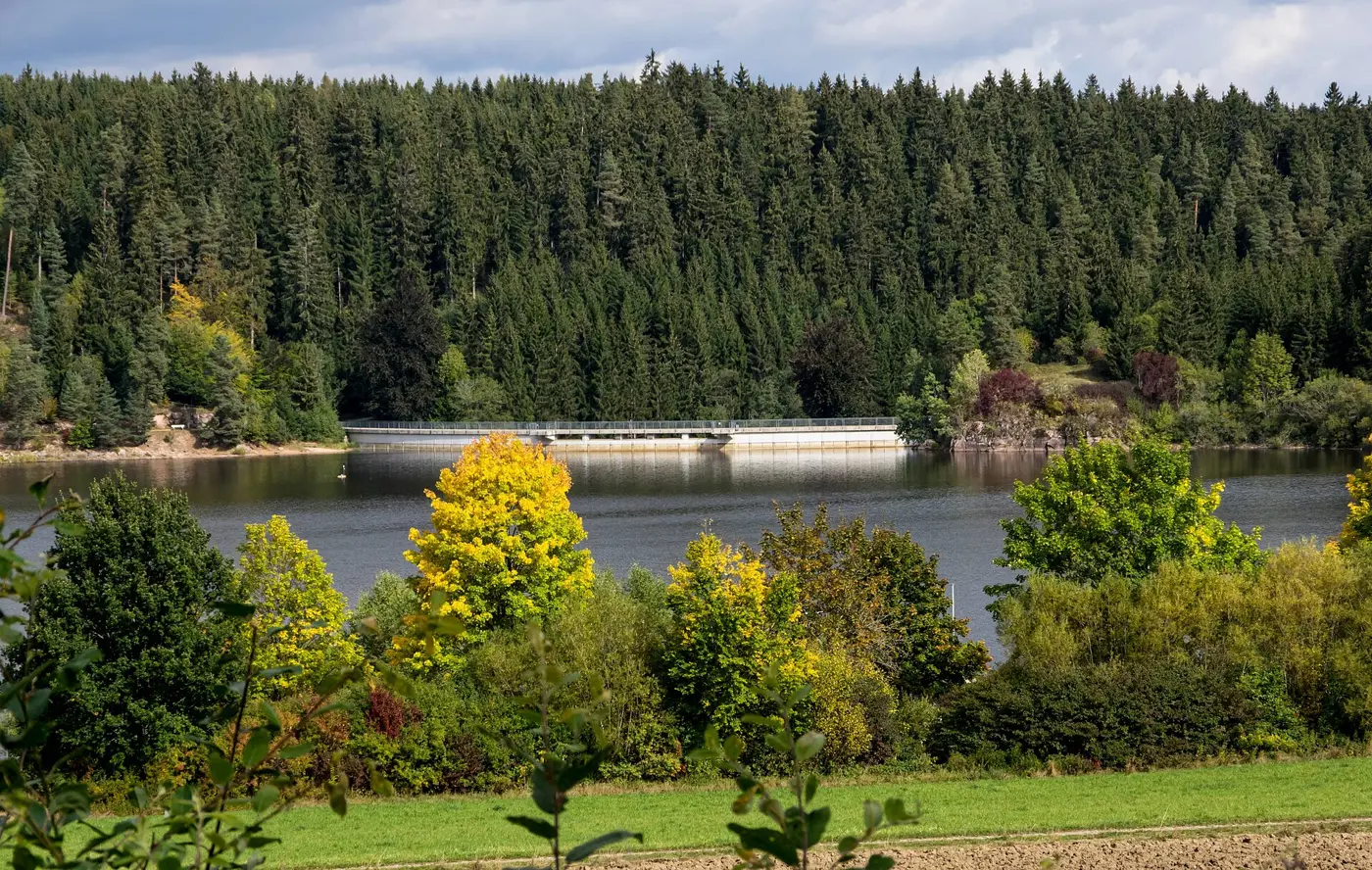 Kirnbergsee, Schwarzwald-Baar-Kreis