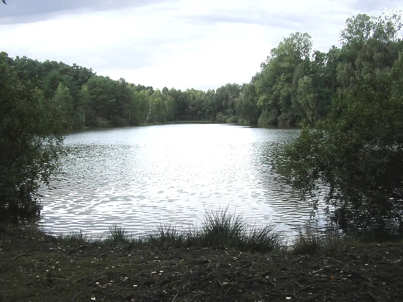 Kleiner Weißer See, Landkreis Mecklenburgische Seenplatte