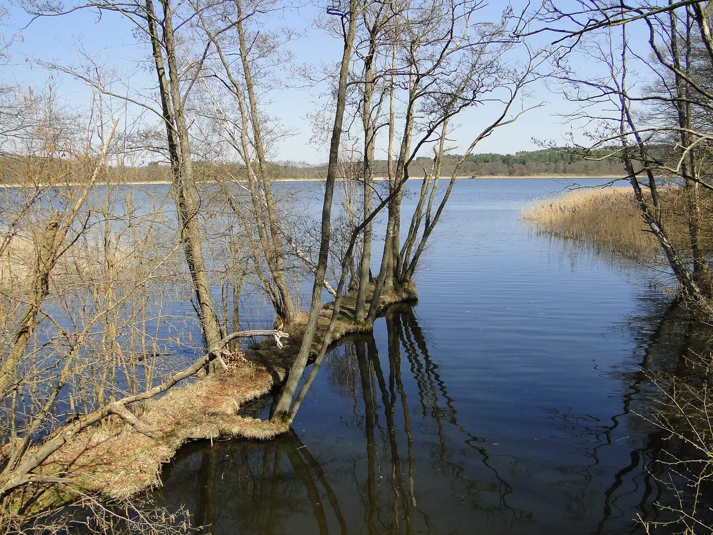 Klenzsee, Landkreis Mecklenburgische Seenplatte