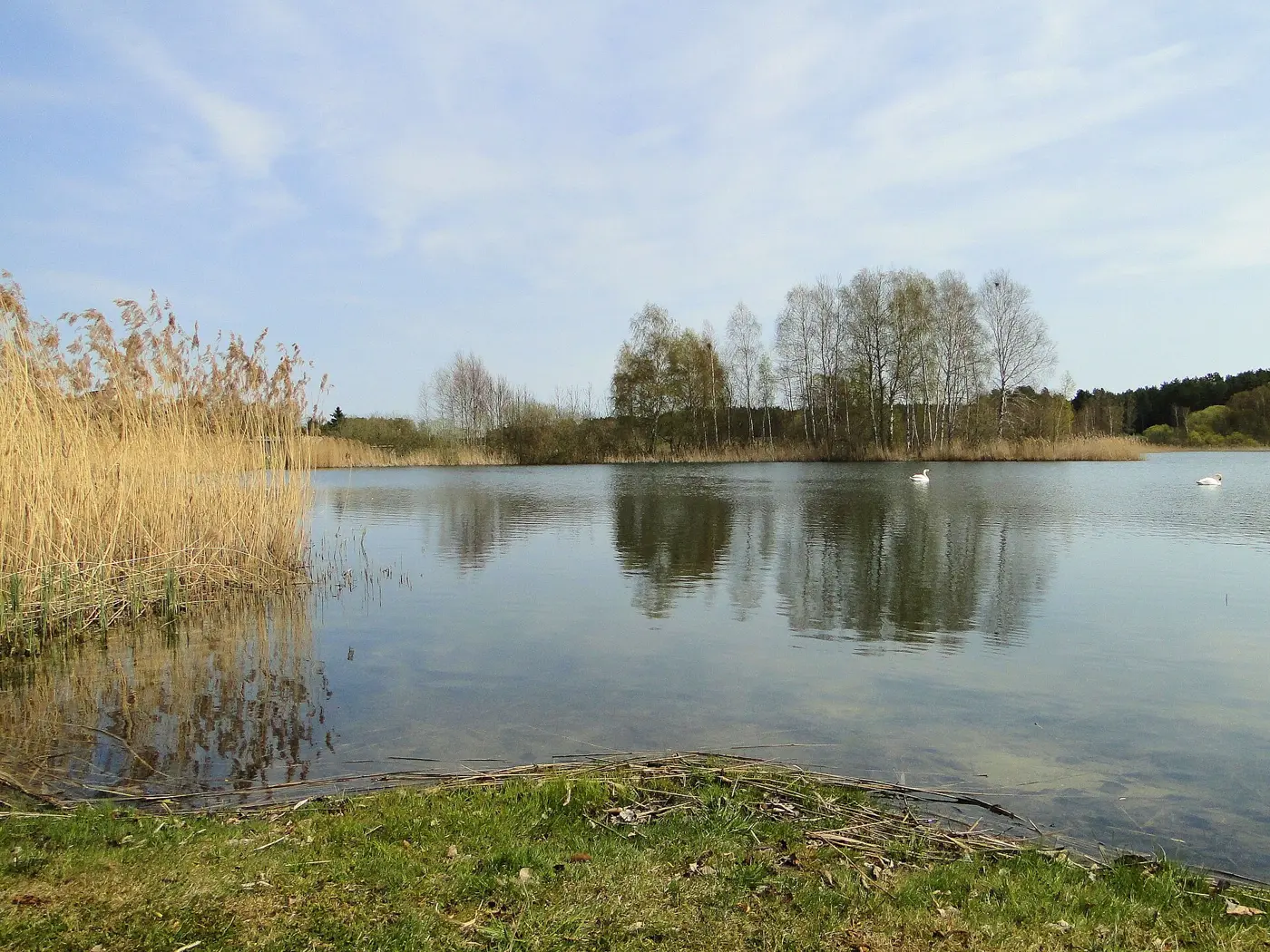 Kluger See, Landkreis Mecklenburgische Seenplatte