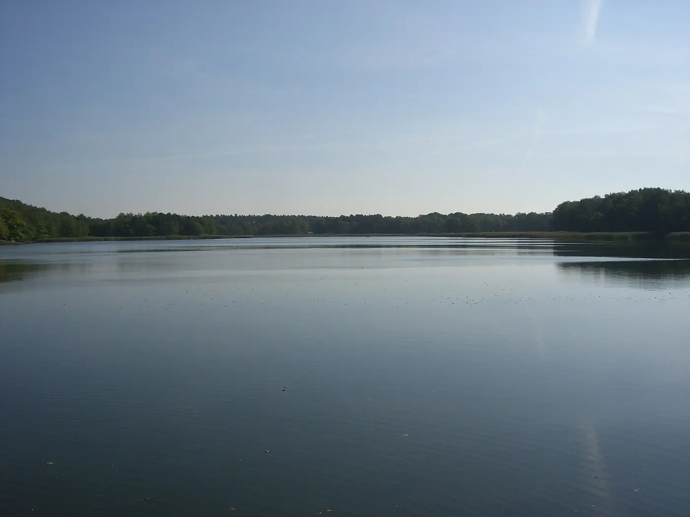 Körbaer Teich, Landkreis Elbe-Elster