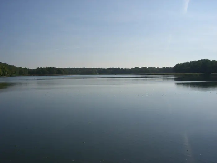 Körbaer Teich, Landkreis Elbe-Elster