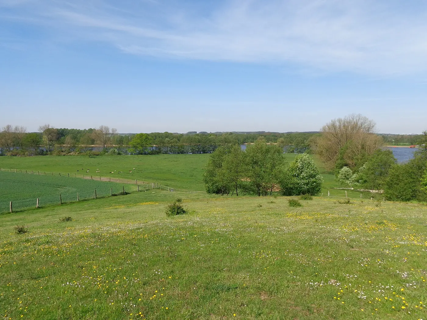 Kritzower See, Landkreis Ludwigslust-Parchim