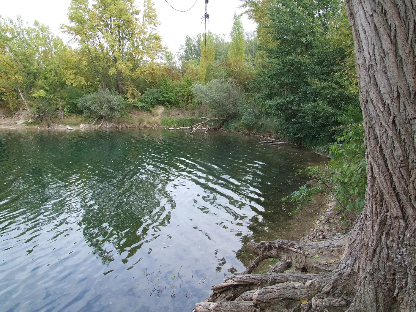 Kuhuntersee, Speyer