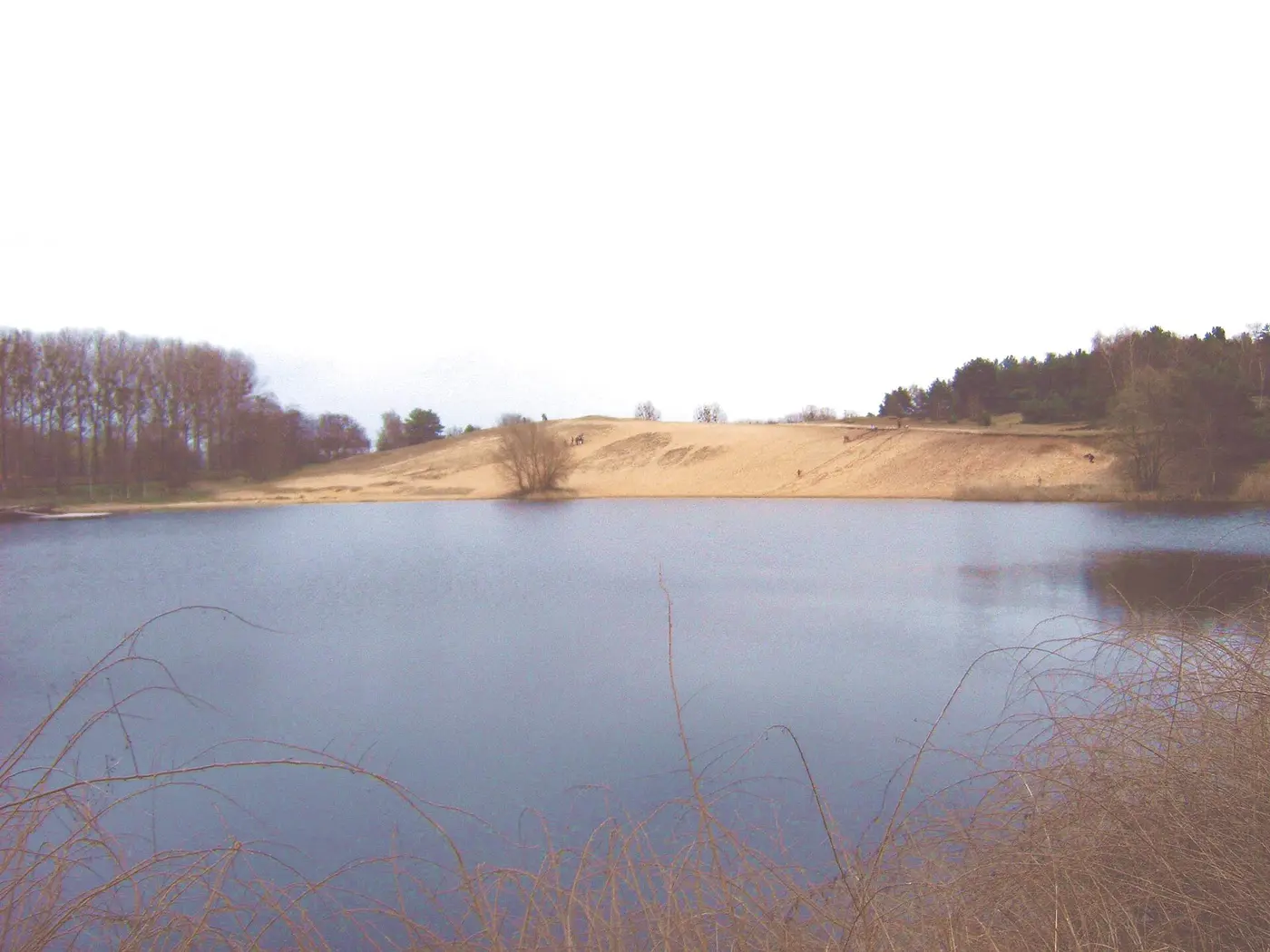 Kulk, Landkreis Jerichower Land