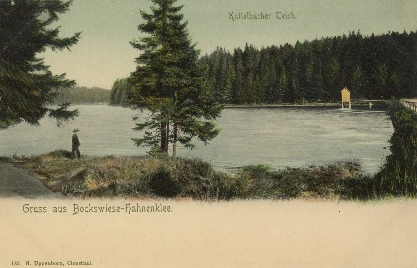 Kuttelbacher Teich, Landkreis Goslar