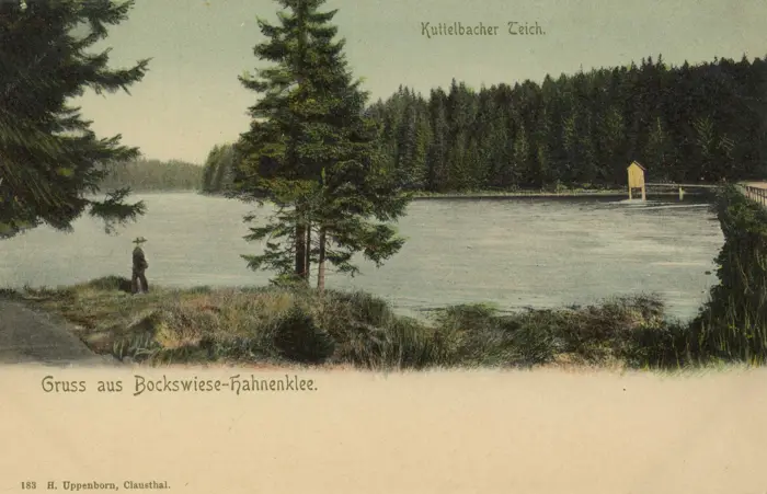 Kuttelbacher Teich, Landkreis Goslar