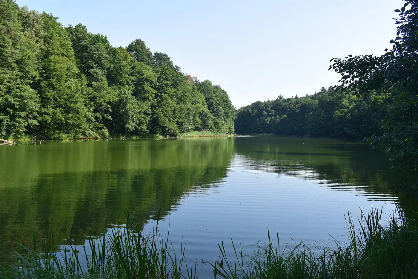 Langer Haussee, Landkreis Märkisch-Oderland