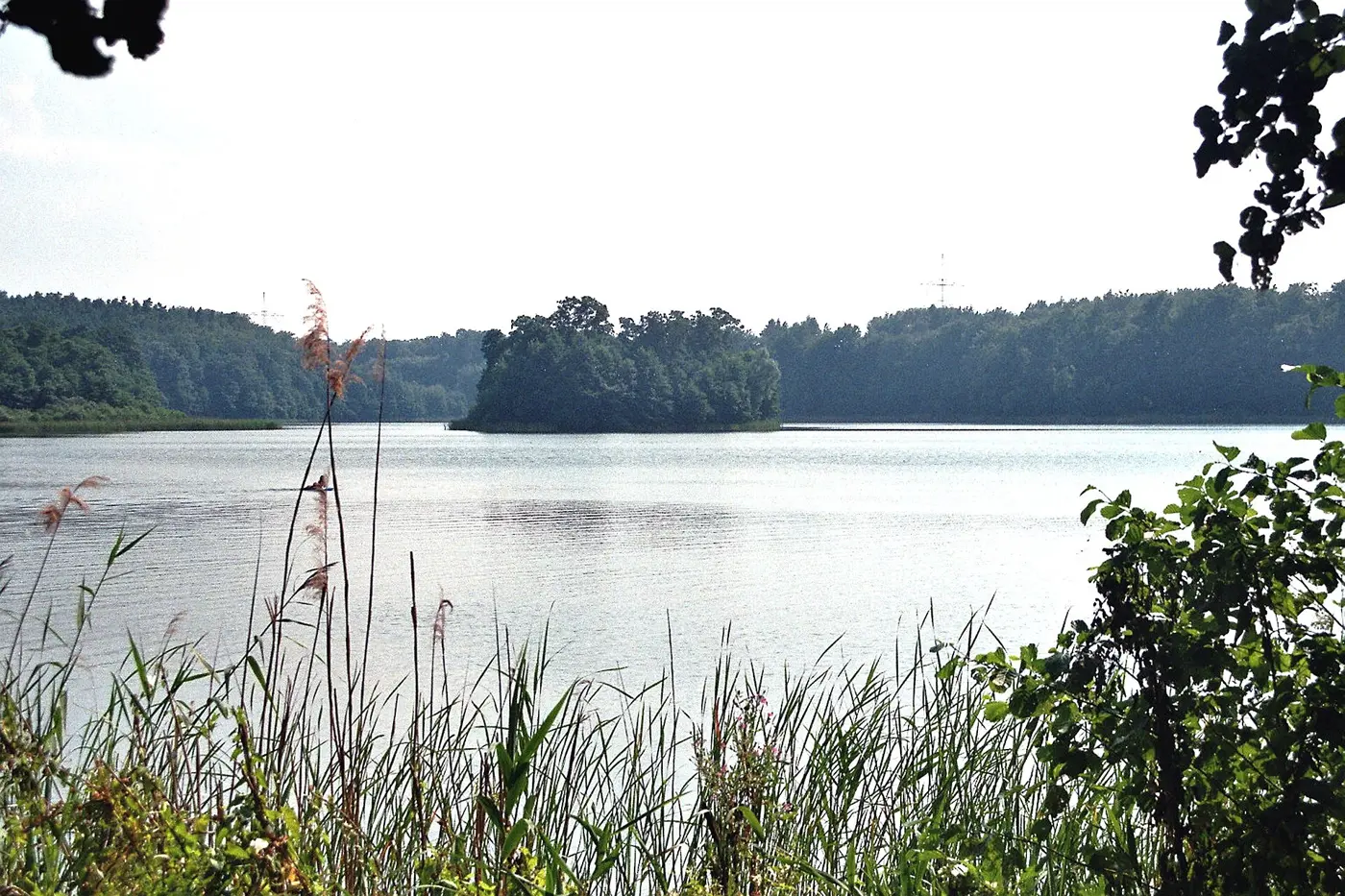 Langer See, Landkreis Mecklenburgische Seenplatte
