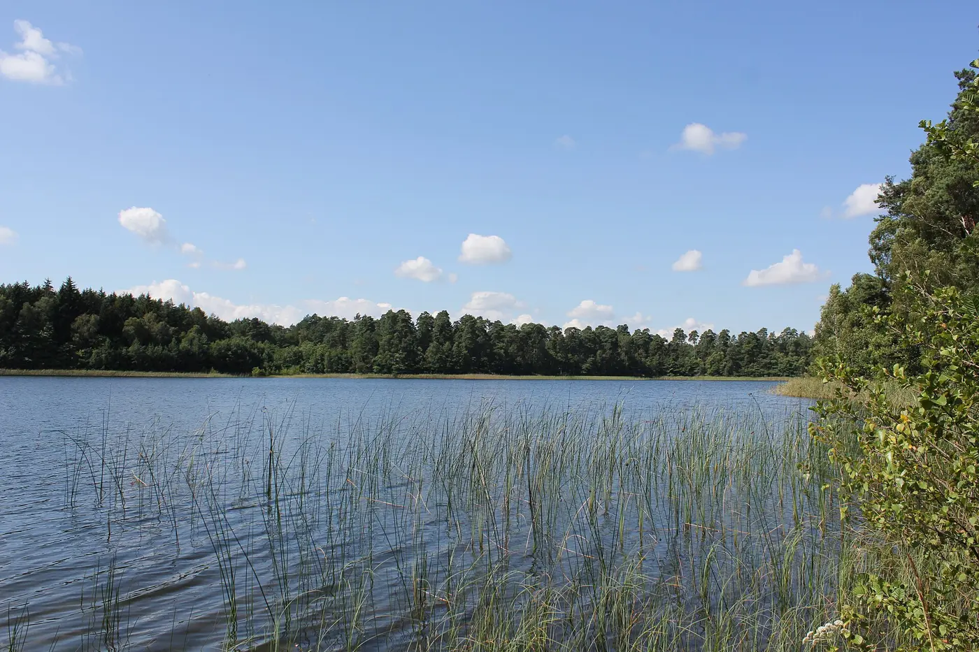Langhagensee, Landkreis Ludwigslust-Parchim