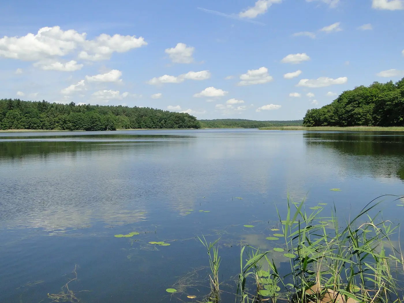 Langsee, Landkreis Rostock