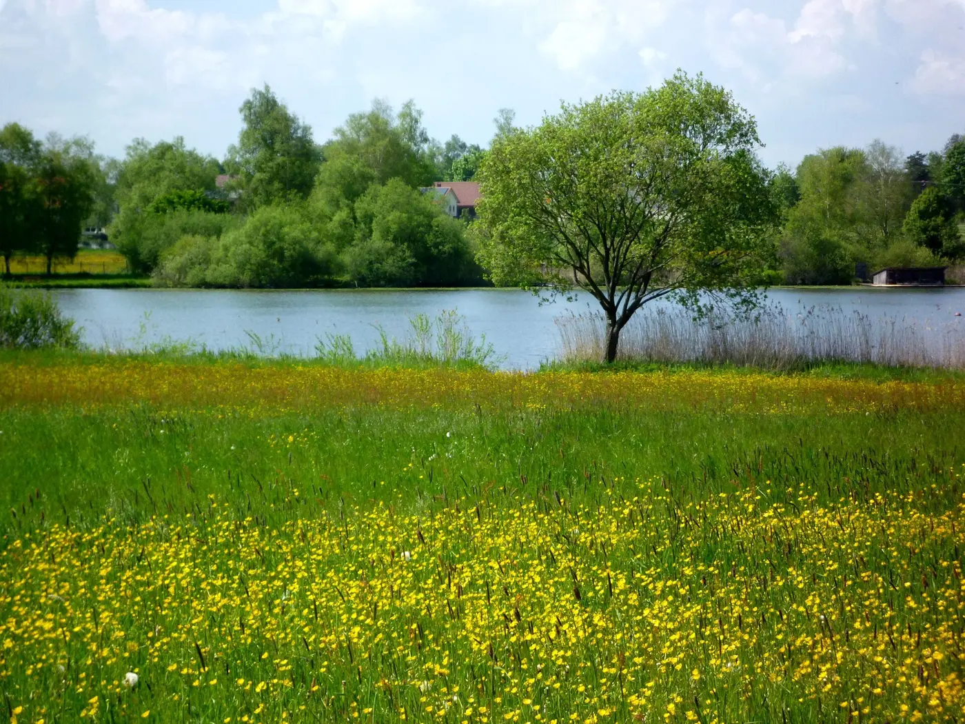 Lengenweiler See, Landkreis Ravensburg