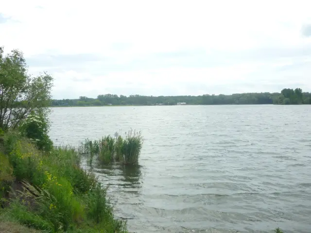 Löderburger See, Salzlandkreis