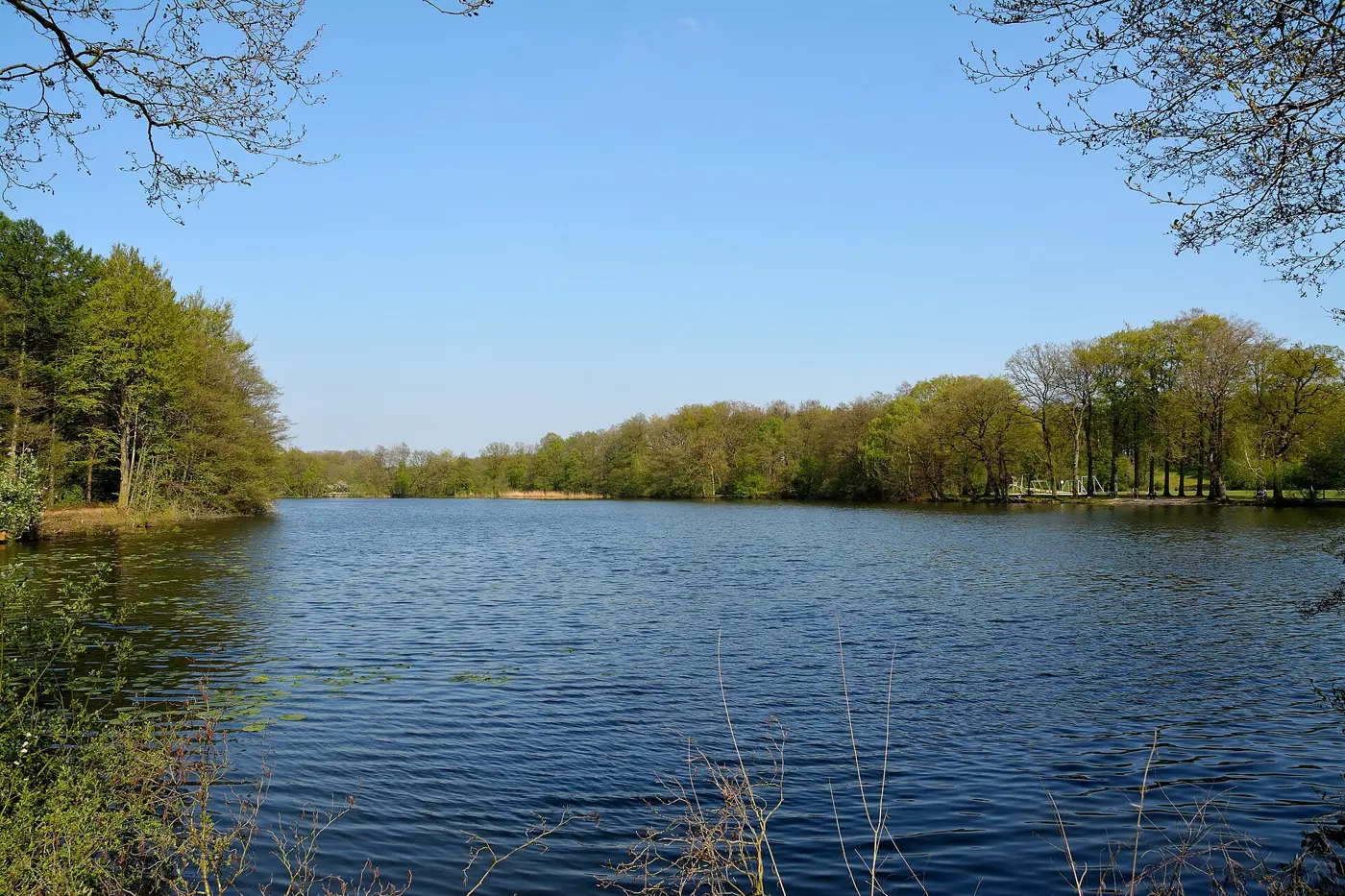 Lohmühlenteich, Kreis Steinburg