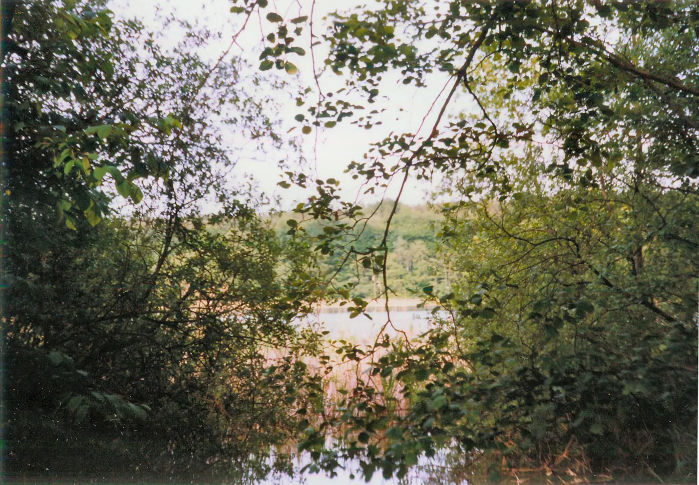 Lüschow, Landkreis Ludwigslust-Parchim