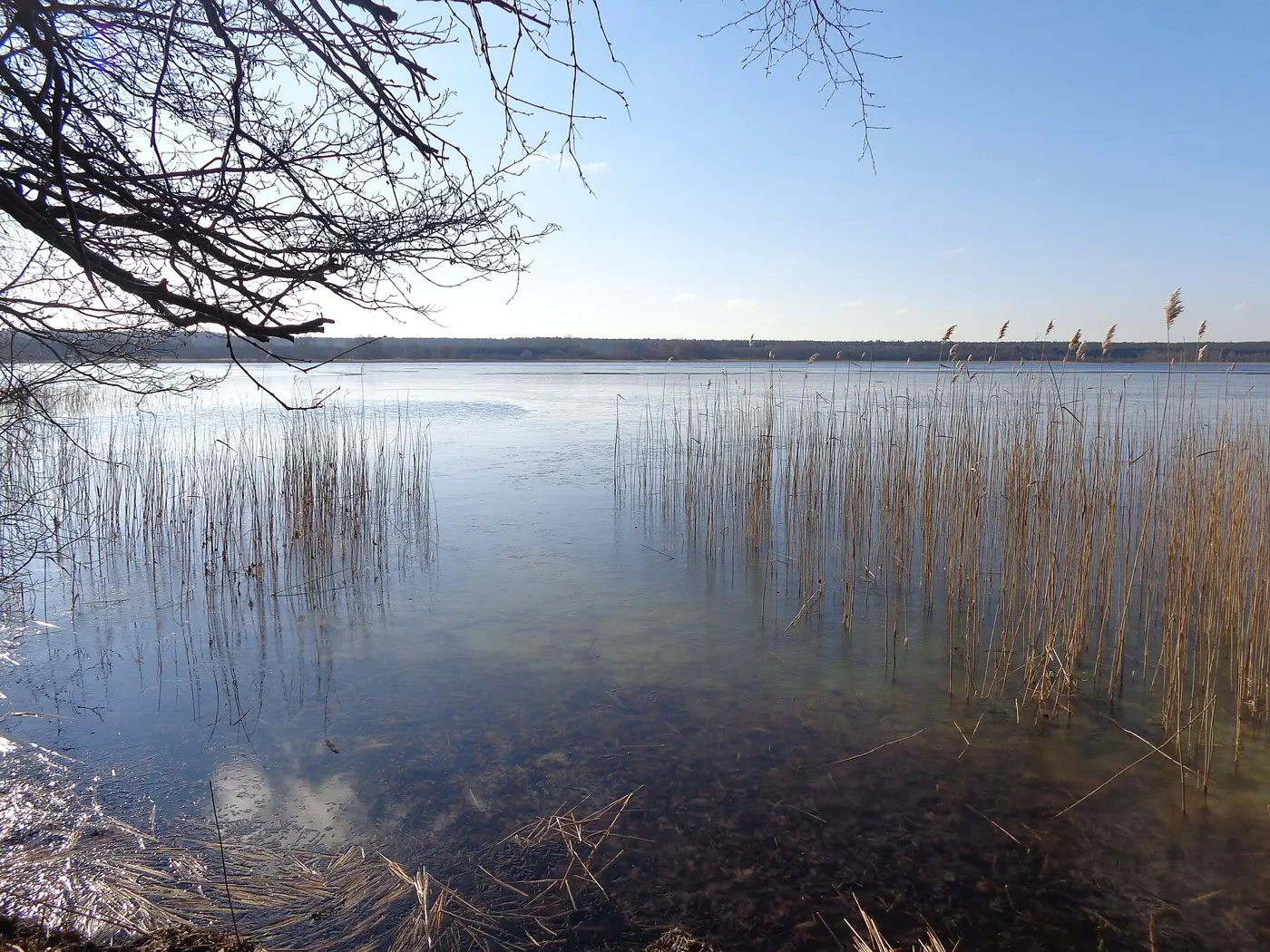 Malkwitzer See, Landkreis Mecklenburgische Seenplatte